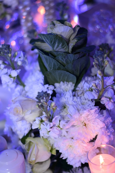 Wedding of Abbas Chamssedine and Manal Safa Part2